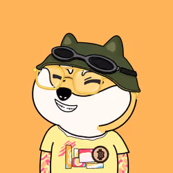 Lucky Doge #682