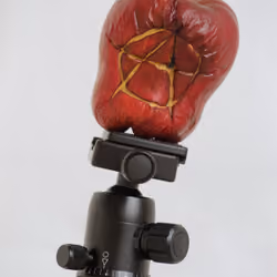 Rig