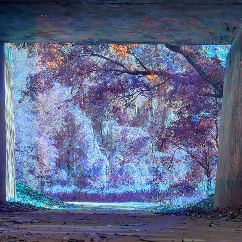 Gotoplanb Ruins