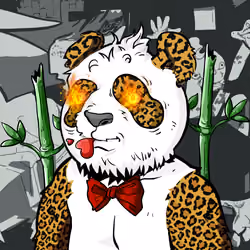Panda #2873