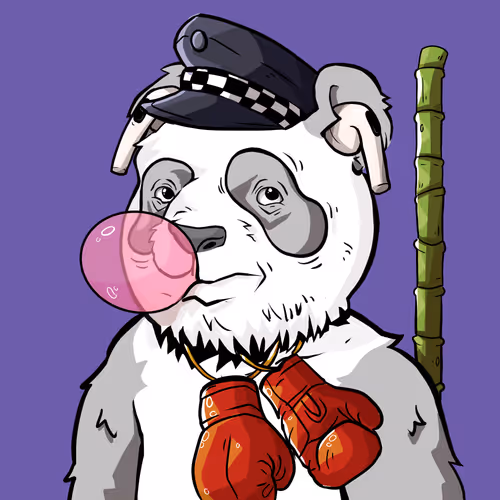 Pandadynasty