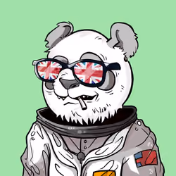Panda #5084