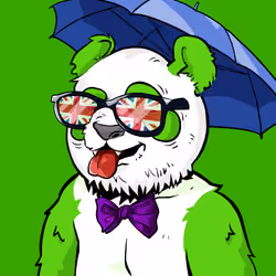 Panda #4346