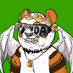 Panda #6341