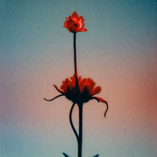Red Soul Touches