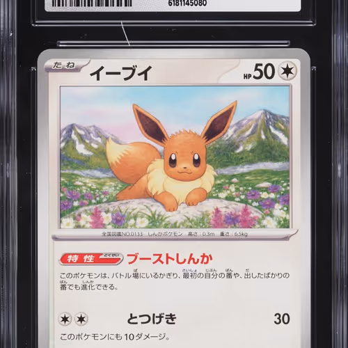 2024 Pokemon Japanese Scarlet &