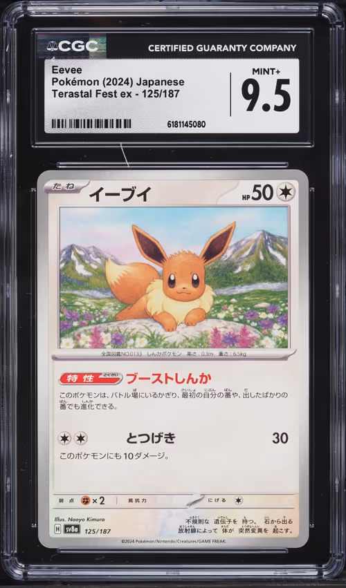 Item #213 Media