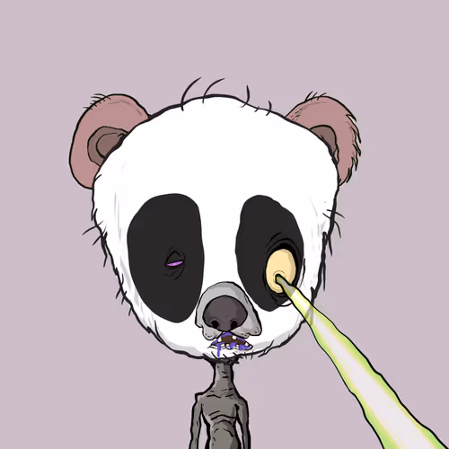 Beartownwtf