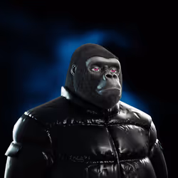 The Metakong Society #260