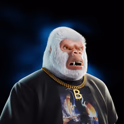 The Metakong Society #155