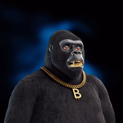 The Metakong Society #208