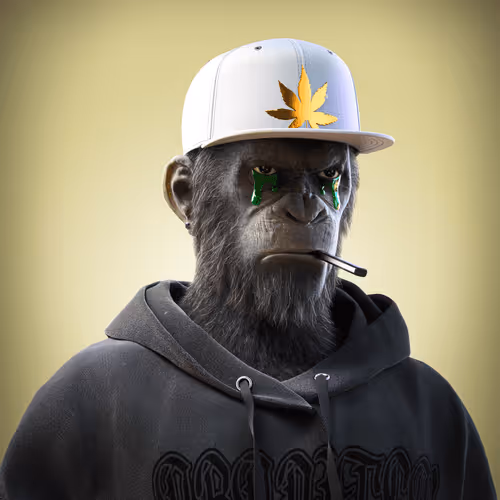 Plurofficial