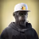 7070