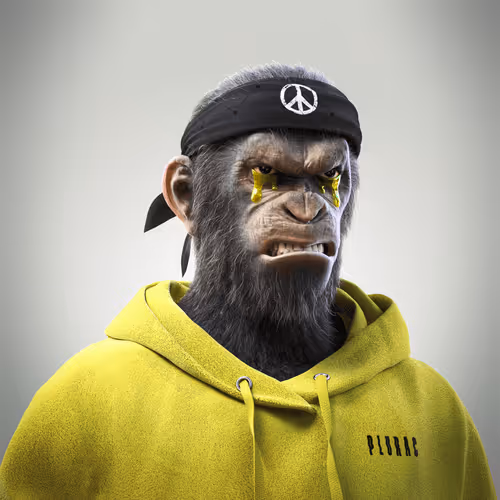 Plurofficial