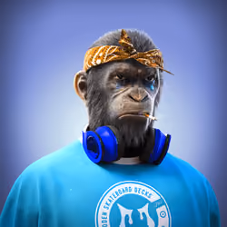 PLUR #286