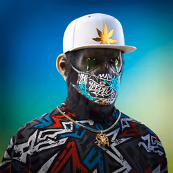 PLUR #2526