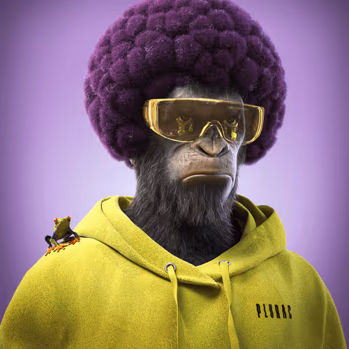 Plurofficial