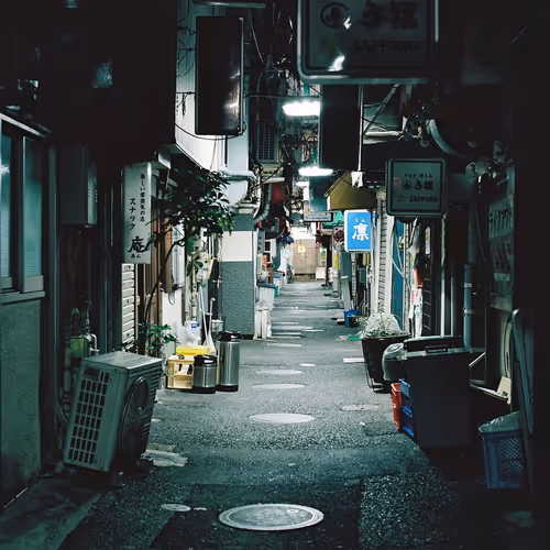 Tokyo Teachings - An Analog Story