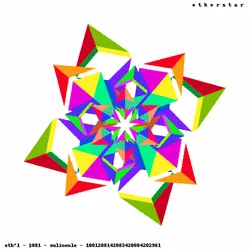81
