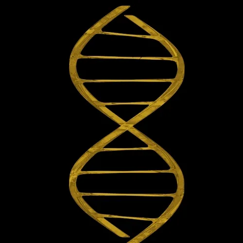 Dna 31