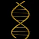 DNA