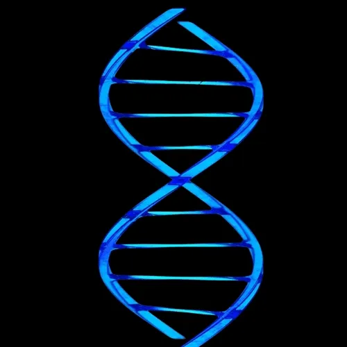 Dna 31