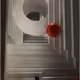 geometry flock
