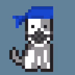 Puppy Punks #2551