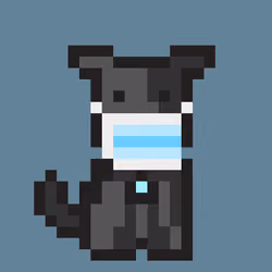 Puppy Punks #2516