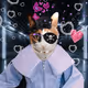 Toocool Dolander #3037