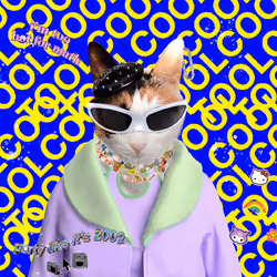 Toocool Dolander #1417