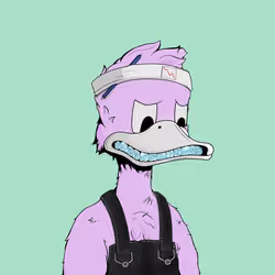 Down Market Ducks #7066