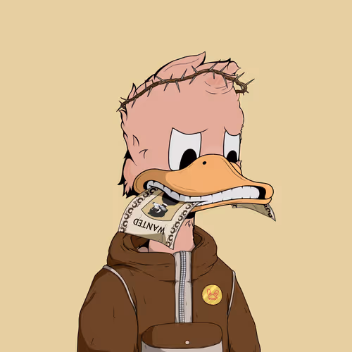 Downmarketducks