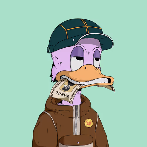 Downmarketducks