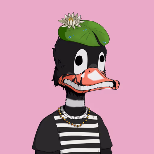 Downmarketducks