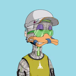 Down Market Ducks #7769