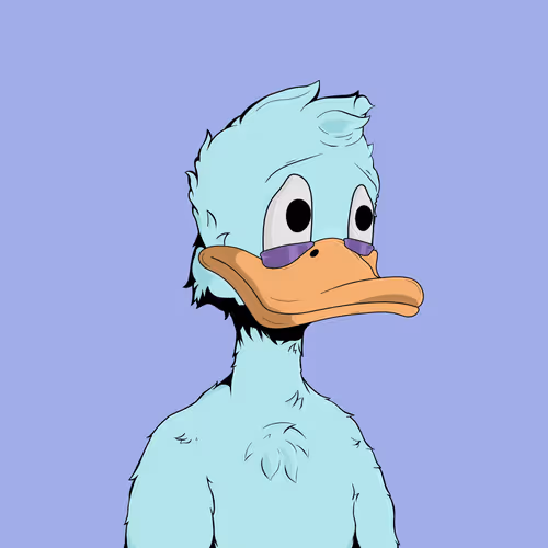 Downmarketducks
