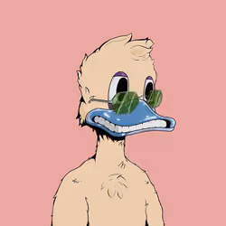 Down Market Ducks #9590