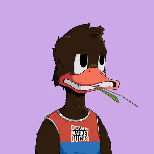 Downmarketducks