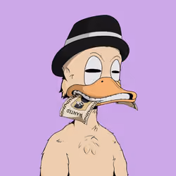 Down Market Ducks #9715