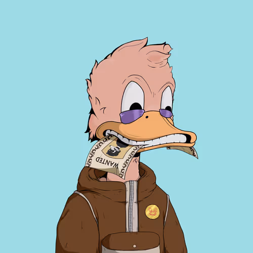 Downmarketducks