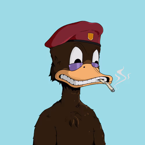 Downmarketducks