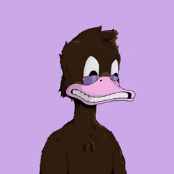 Down Market Ducks #8157