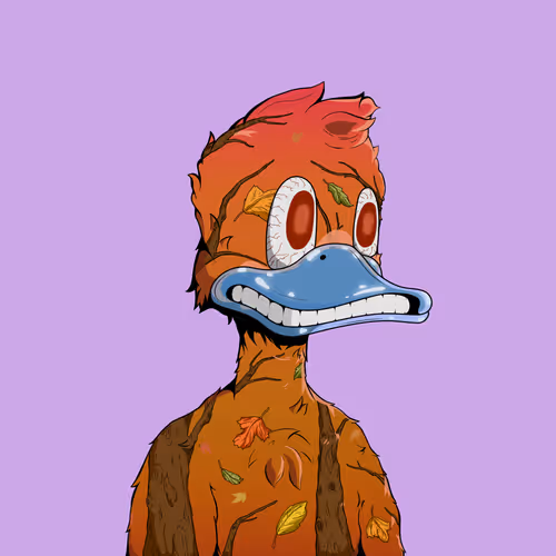 Downmarketducks