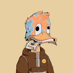 Down Market Ducks #9294