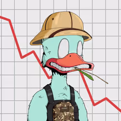 Down Market Ducks #7037