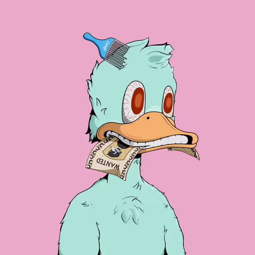 Downmarketducks