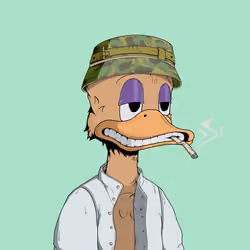 Down Market Ducks #9868
