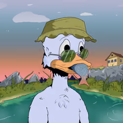Down Market Ducks #8807
