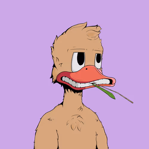 Downmarketducks